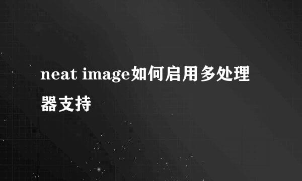 neat image如何启用多处理器支持