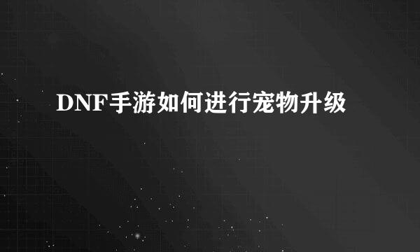 DNF手游如何进行宠物升级