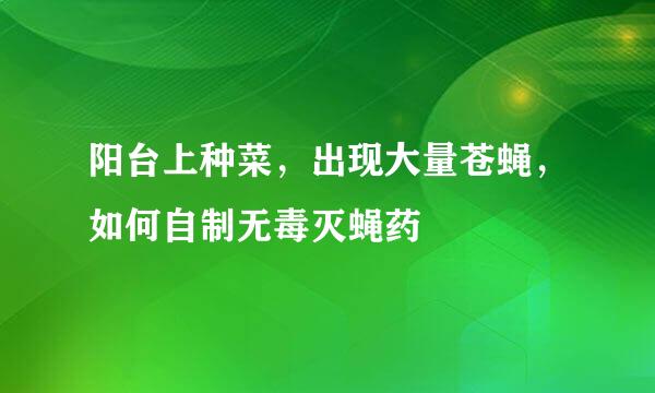 阳台上种菜，出现大量苍蝇，如何自制无毒灭蝇药