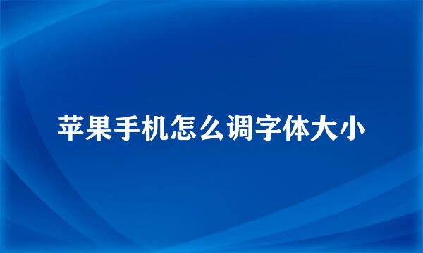 苹果手机怎么调字体大小