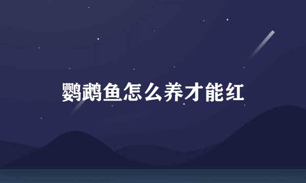 鹦鹉鱼怎么养才能红