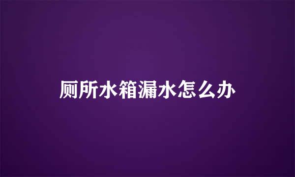 厕所水箱漏水怎么办