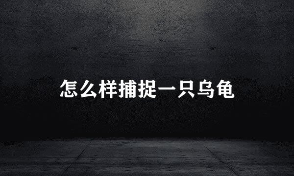 怎么样捕捉一只乌龟