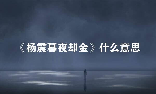 《杨震暮夜却金》什么意思