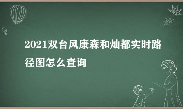 2021双台风康森和灿都实时路径图怎么查询