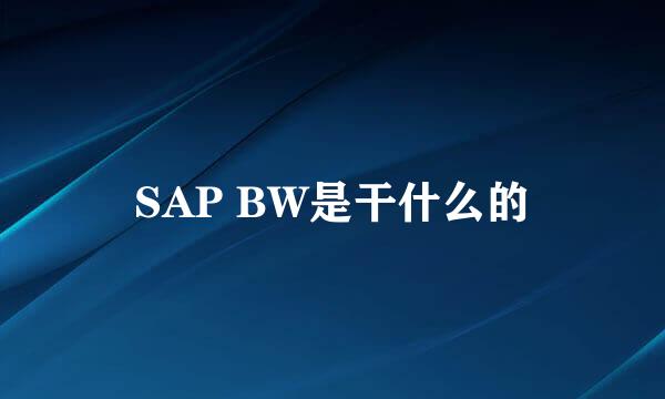 SAP BW是干什么的