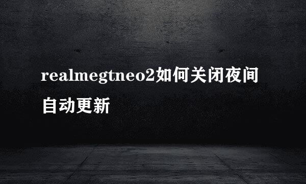 realmegtneo2如何关闭夜间自动更新