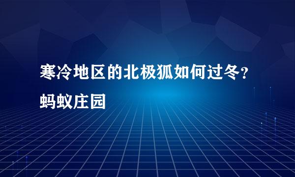 寒冷地区的北极狐如何过冬？蚂蚁庄园