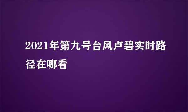2021年第九号台风卢碧实时路径在哪看