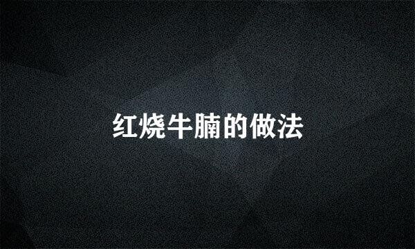 红烧牛腩的做法