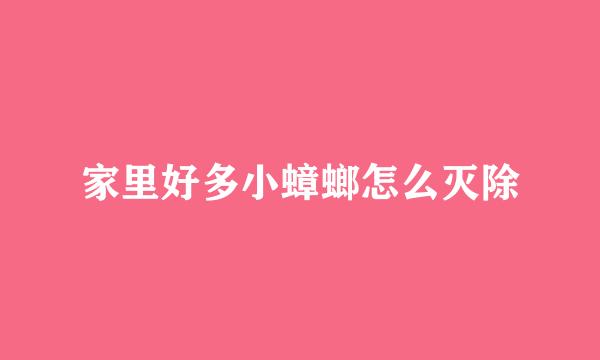 家里好多小蟑螂怎么灭除
