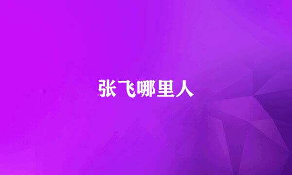 张飞哪里人