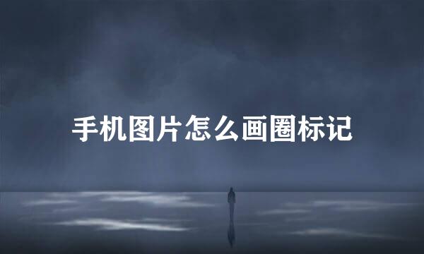 手机图片怎么画圈标记