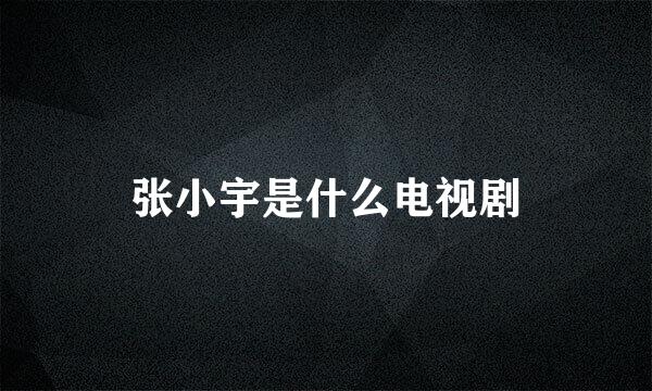 张小宇是什么电视剧