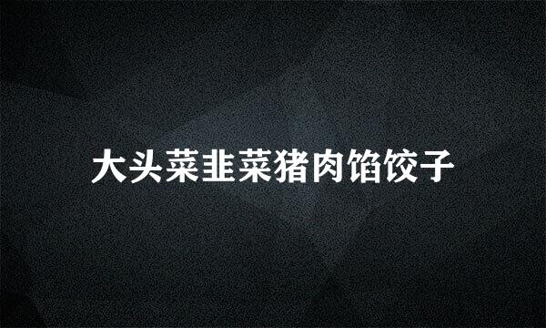 大头菜韭菜猪肉馅饺子