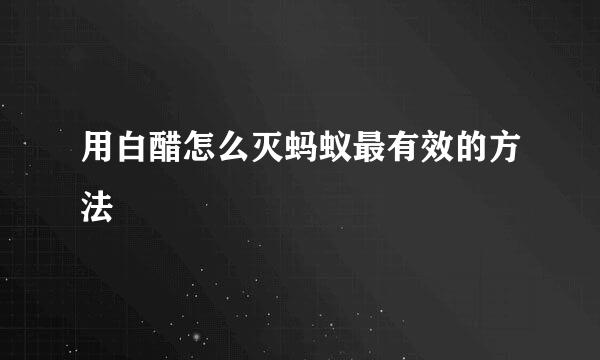 用白醋怎么灭蚂蚁最有效的方法