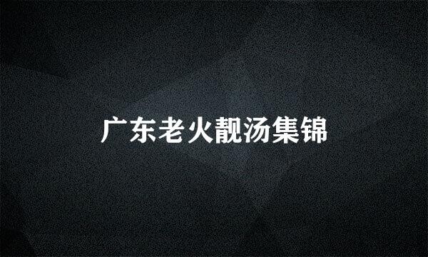 广东老火靓汤集锦