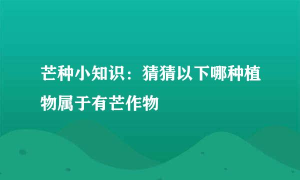 芒种小知识：猜猜以下哪种植物属于有芒作物