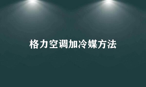 格力空调加冷媒方法