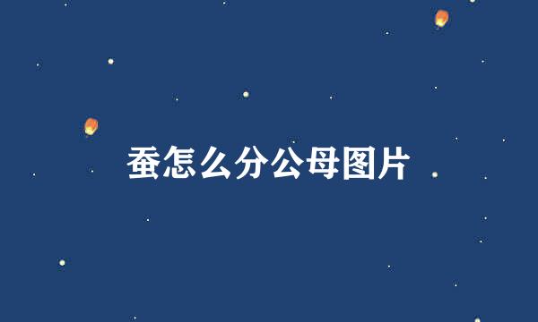 蚕怎么分公母图片