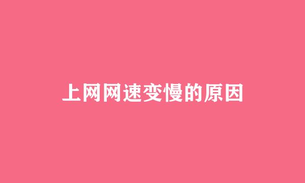 上网网速变慢的原因