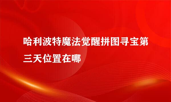 哈利波特魔法觉醒拼图寻宝第三天位置在哪