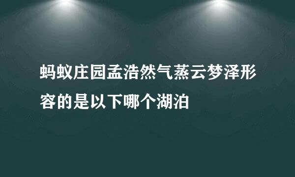 蚂蚁庄园孟浩然气蒸云梦泽形容的是以下哪个湖泊