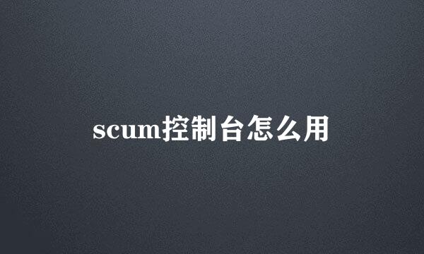 scum控制台怎么用
