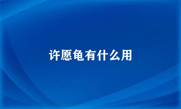 许愿龟有什么用