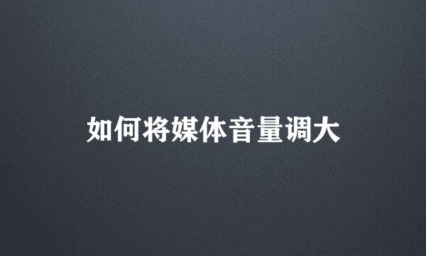 如何将媒体音量调大