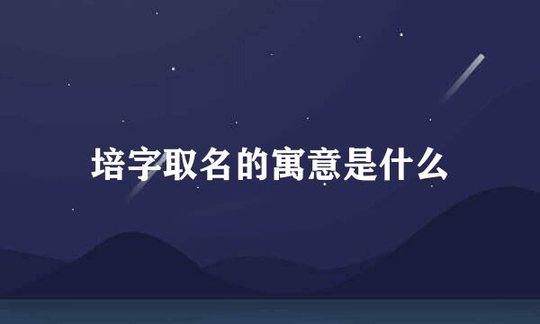 培字取名的寓意是什么