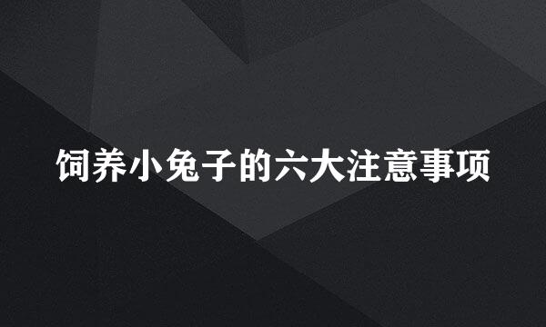 饲养小兔子的六大注意事项