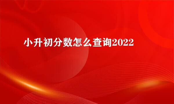 小升初分数怎么查询2022