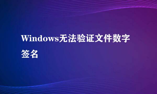 Windows无法验证文件数字签名