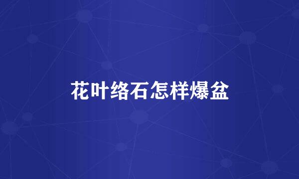 花叶络石怎样爆盆