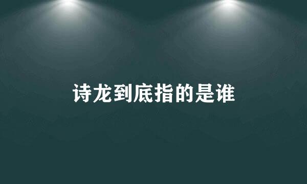 诗龙到底指的是谁