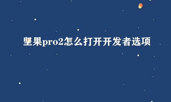 坚果pro2怎么打开开发者选项