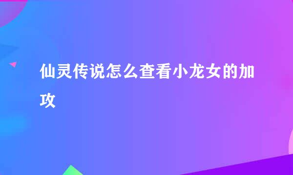仙灵传说怎么查看小龙女的加攻