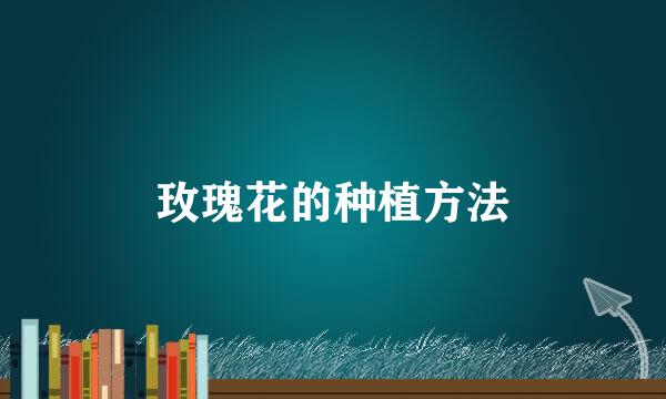 玫瑰花的种植方法