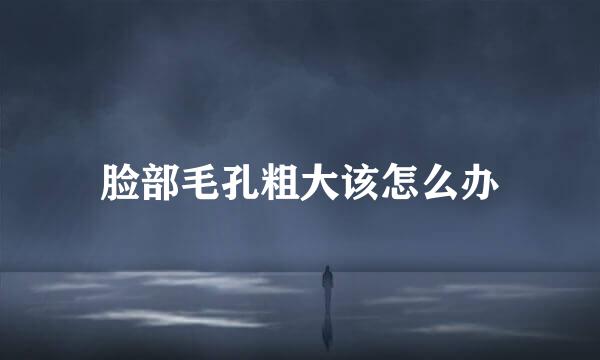 脸部毛孔粗大该怎么办