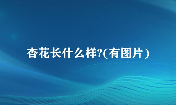 杏花长什么样?(有图片)