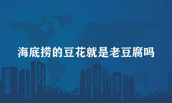 海底捞的豆花就是老豆腐吗