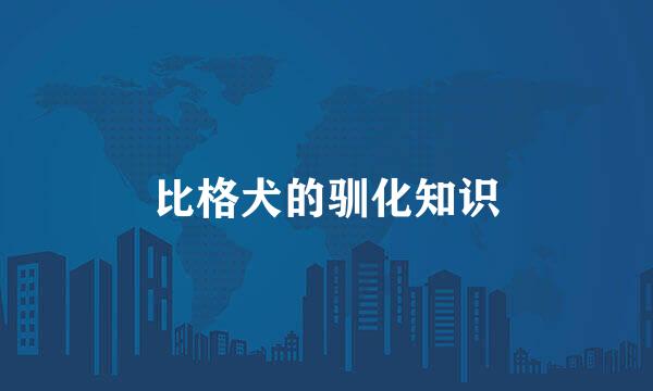 比格犬的驯化知识