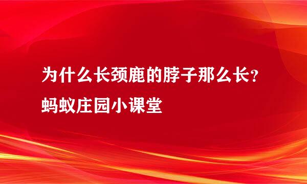 为什么长颈鹿的脖子那么长？蚂蚁庄园小课堂