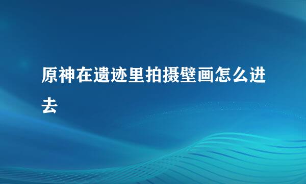 原神在遗迹里拍摄壁画怎么进去