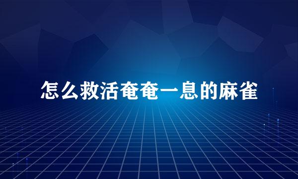 怎么救活奄奄一息的麻雀