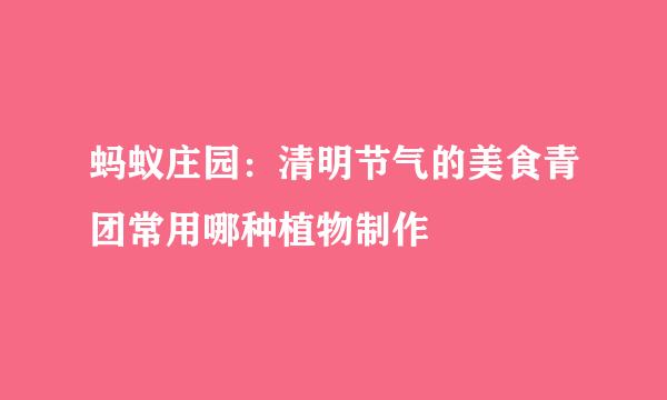 蚂蚁庄园：清明节气的美食青团常用哪种植物制作