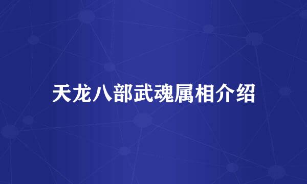 天龙八部武魂属相介绍