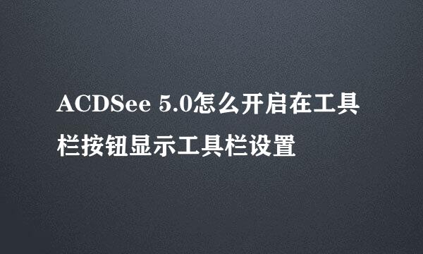 ACDSee 5.0怎么开启在工具栏按钮显示工具栏设置