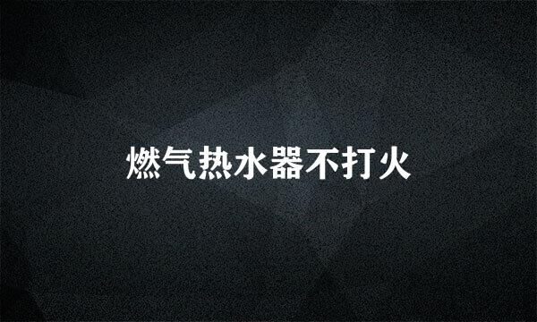 燃气热水器不打火
